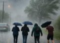 IMAGES. Un orage violent se transforme en déluge avec grêle et vents forts.