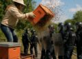 Une apicultrice déverse ses ruches sur des policiers lors d'une expulsion.