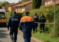 Cobra manquant à Castelginest : le maire évoque un risque d'accident.
