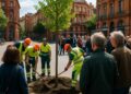 Toulouse : la ville s'engage dans la végétalisation face à l'opposition.