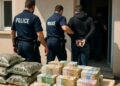 Réseau de trafic de drogue démantelé, 6 millions d'euros par mois en jeu.