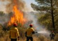 Feux de forêt en Occitanie : début de la saison sous l'effet du climat.