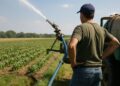 Gestion de l'eau en agriculture : la France peine à recycler les eaux usées.