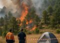 Alerte incendie en Haute-Garonne : interdiction de camping et feux.