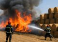 Un incendie consume cinq hectares et menace une soixantaine de bottes de paille, les pompiers alertent sur la vigilance nécessaire.
