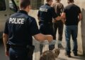 Des criminels interpellés après la disparition de nombreux chats destinés à la consommation.