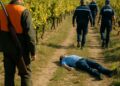 Un chasseur découvre un corps sans vie dans les vignes de Vic-la-Gardiole.