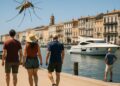 Moustiques omniprésents, été tragique et vente de "Marine" à Sète : l'actu régionale.